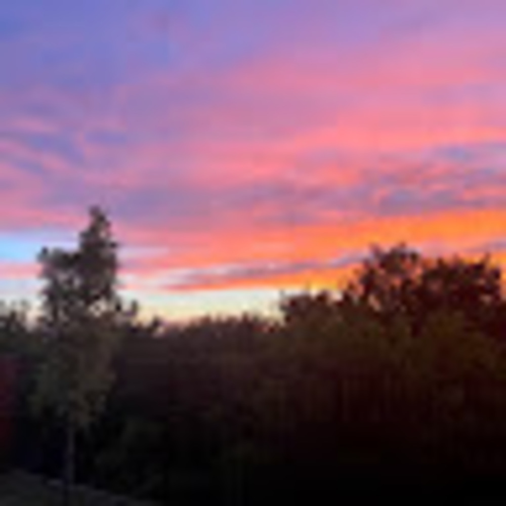 Meet your Posher, Ruba